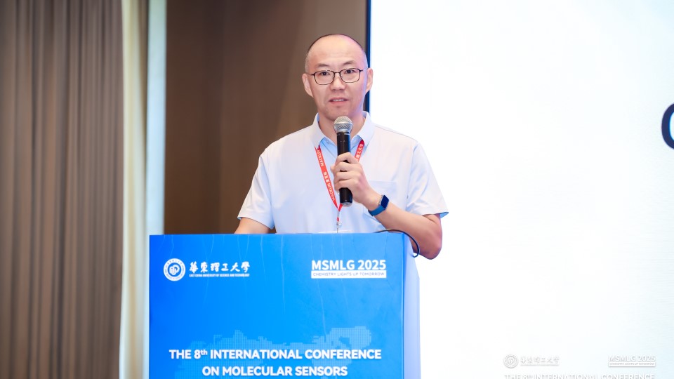 The 8th International Conference on Molecular Sensors and Molecular Logic Gates (MSMLG 2025)